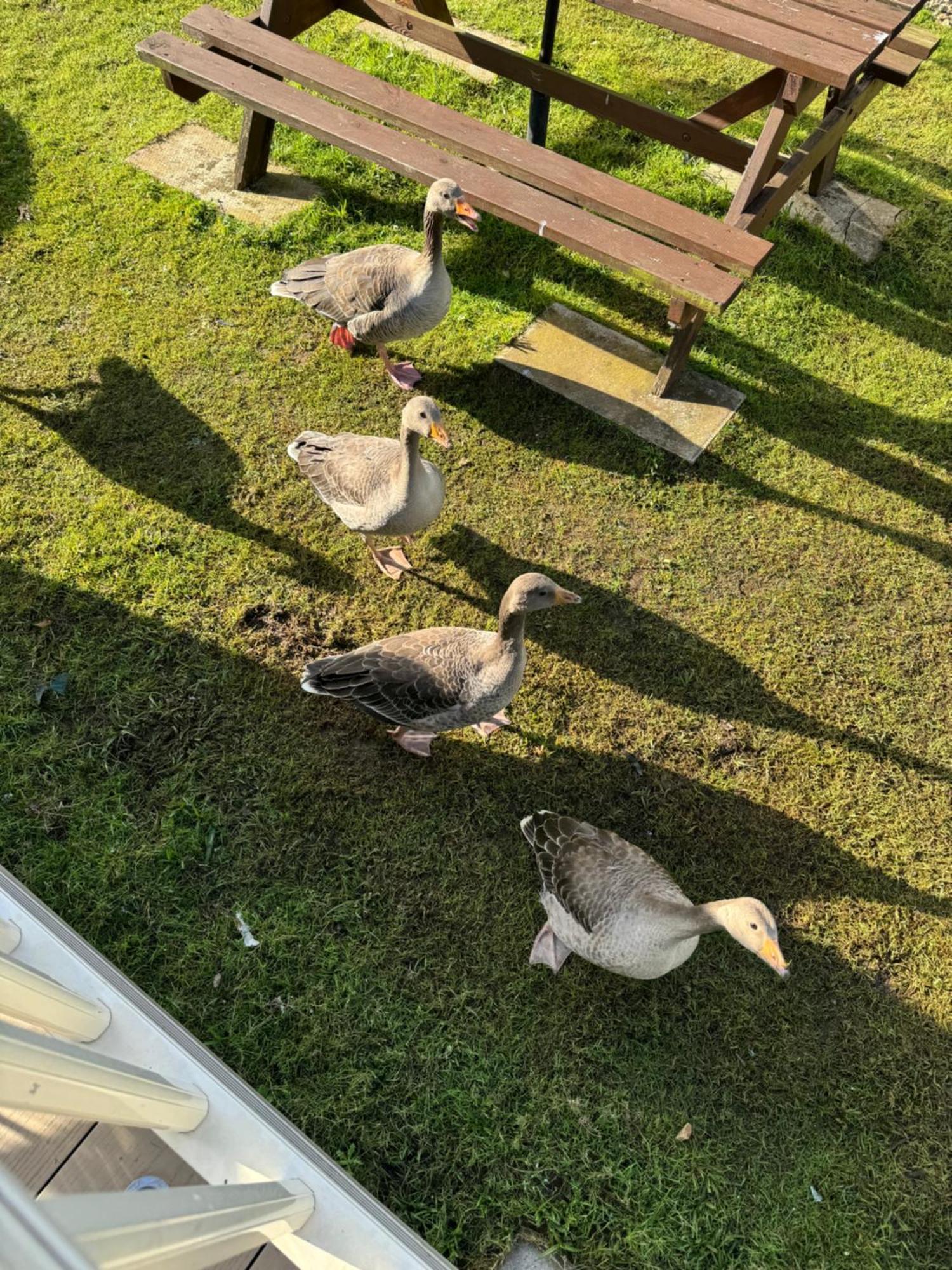 Hot Tub Retreat At Tattershall Lakes 外观 照片